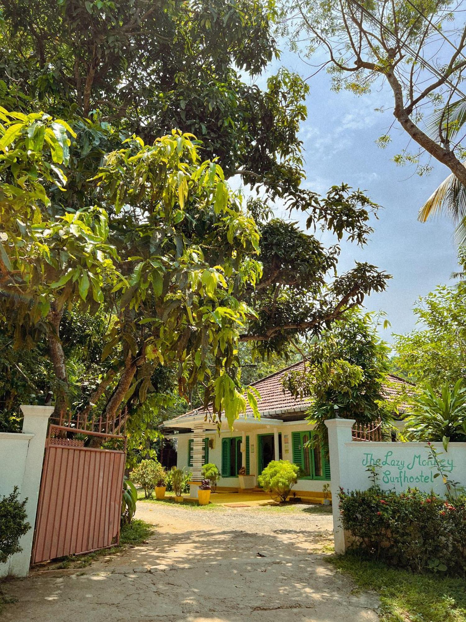Lazy Monkey Surfhostel - Sri Lanka Диквела Екстериор снимка