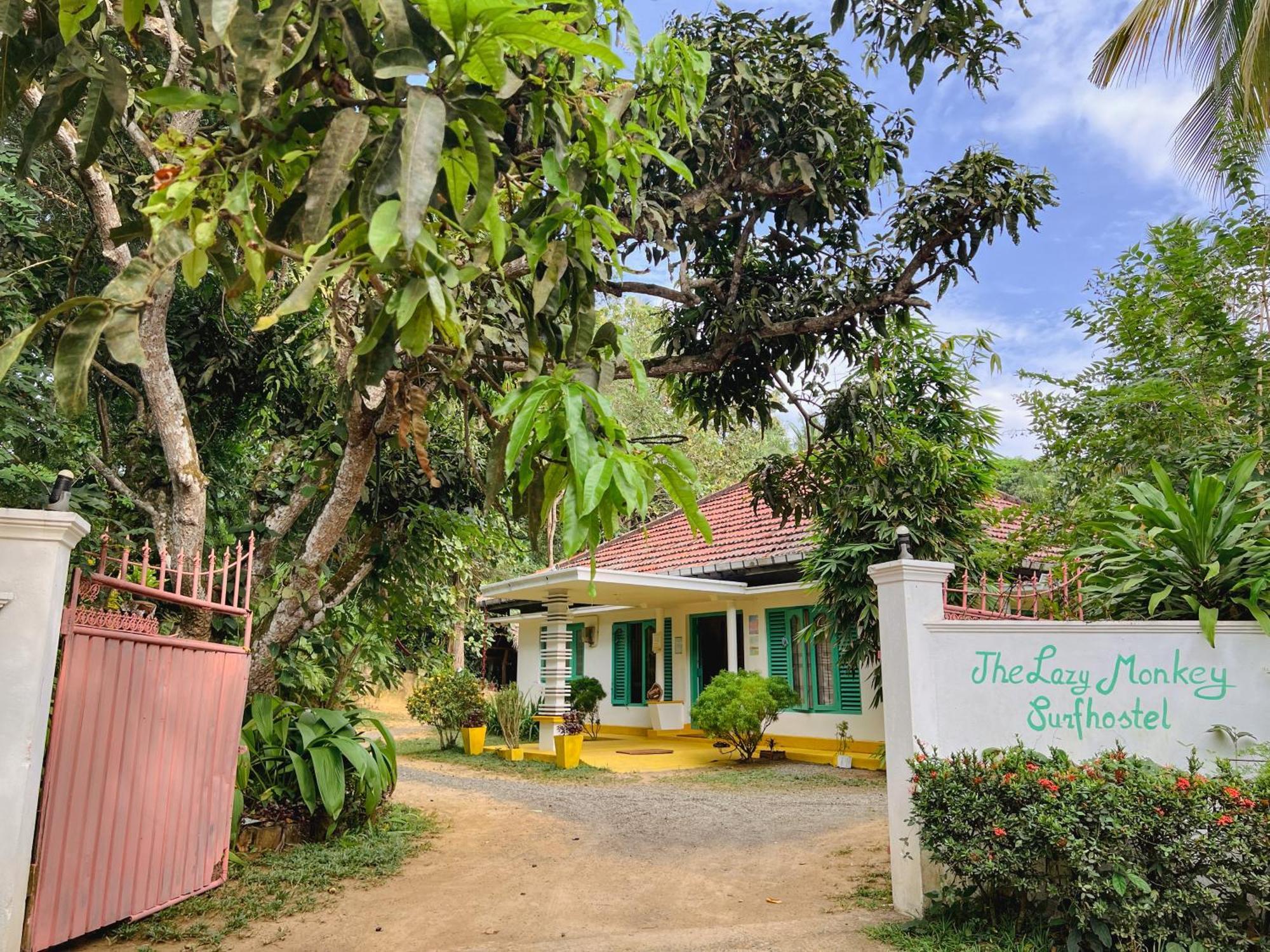 Lazy Monkey Surfhostel - Sri Lanka Диквела Екстериор снимка